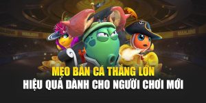 Mẹo Bắn Cá Thắng Lớn Hiệu Quả Dành Cho Người Chơi Mới 9 Mẹo Bắn Cá Thắng Lớn Hiệu Quả Dành Cho Người Chơi Mới