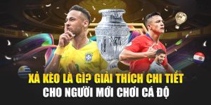 Xả Kèo Là Gì? Giải Thích Chi Tiết Cho Người Mới Chơi Cá Độ 8 Xả Kèo Là Gì? Giải Thích Chi Tiết Cho Người Mới Chơi Cá Độ